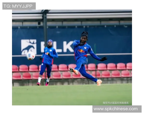 莱比锡与伊斯坦布尔对决前瞻分析及赛果预测