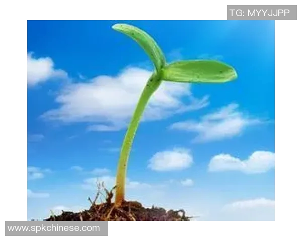 李晓旭的成长之路：从普通学生到职场精英的励志故事