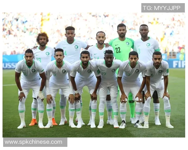 沙特阿联酋足球历史交锋记录分析与战绩回顾