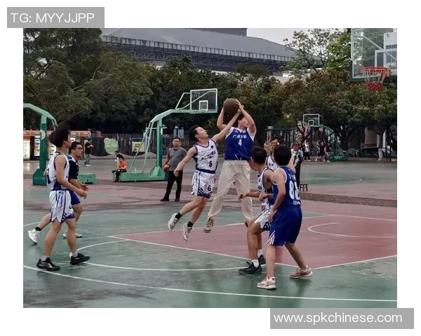 篮球场上的风采篮球明星精彩瞬间尽在打篮球图片中展现魅力与激情